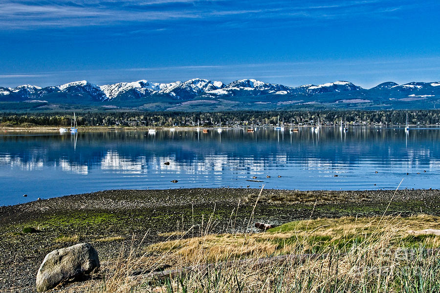 Beautiful Comox Harbour Photograph by Chuck Burdick - Pixels