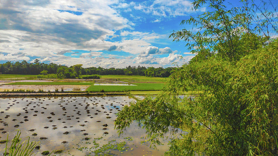 Beautiful countryside near Sylhet, Bangladesh Photograph by Mostak