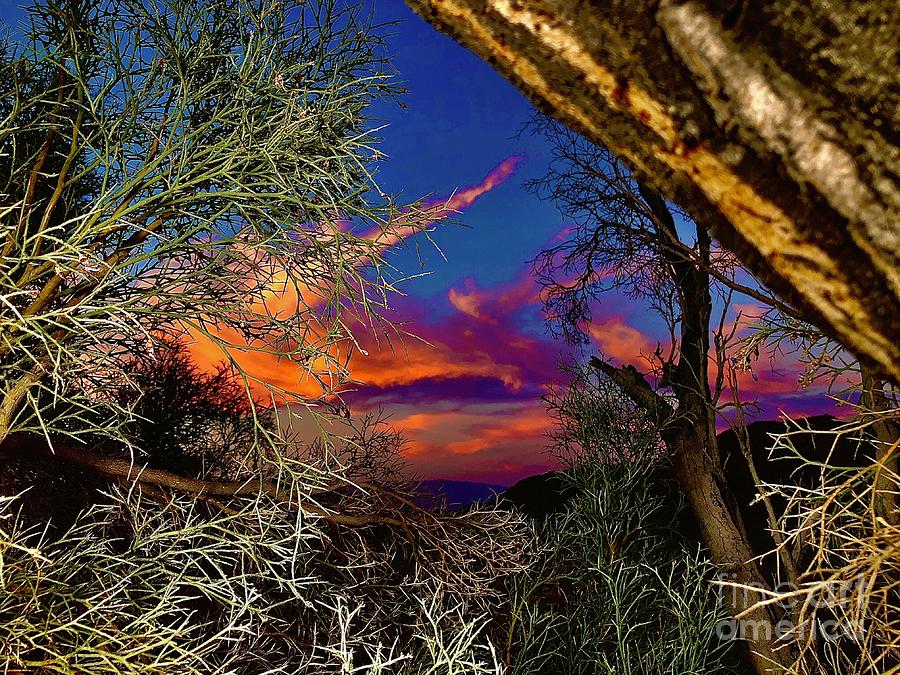 Beautiful Desert Sky Photograph by Chris Tarpening