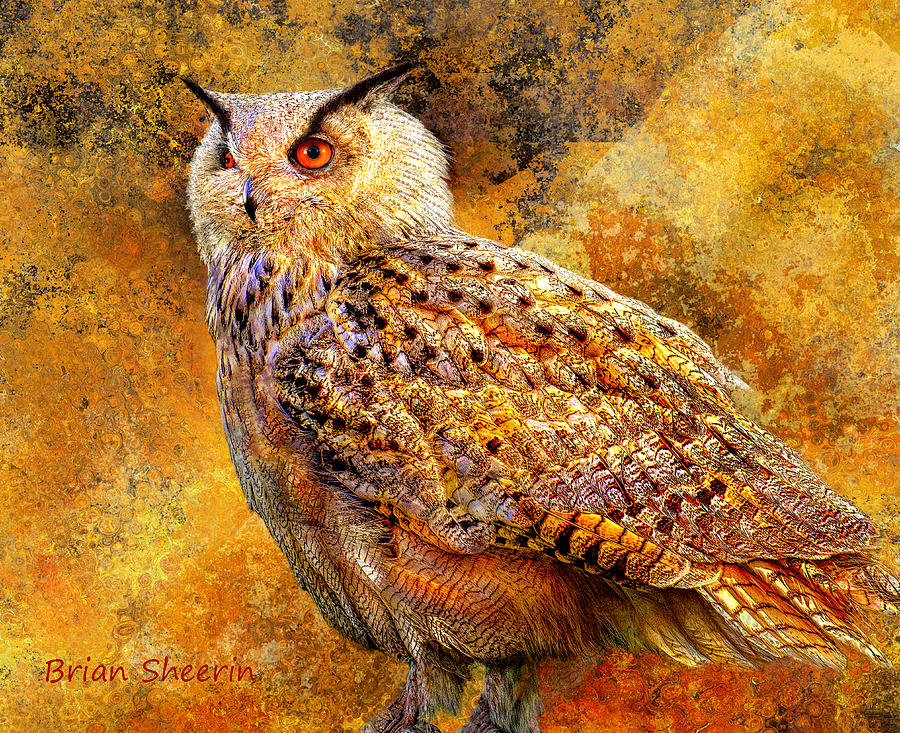 Beautiful Eagle Owl Digital Art by Brian Sheerin - Fine Art America