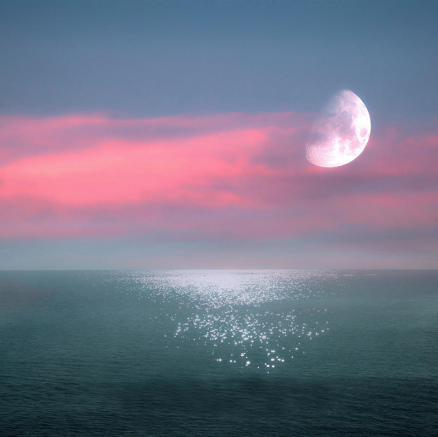 Beautiful Evening In Dreamland By The Sea Mixed Media by Johanna Hurmerinta