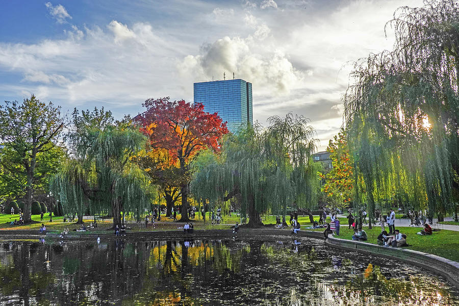 Beautiful Fall Day in the Boston Public Gaden Reflection Photograph by Toby McGuire