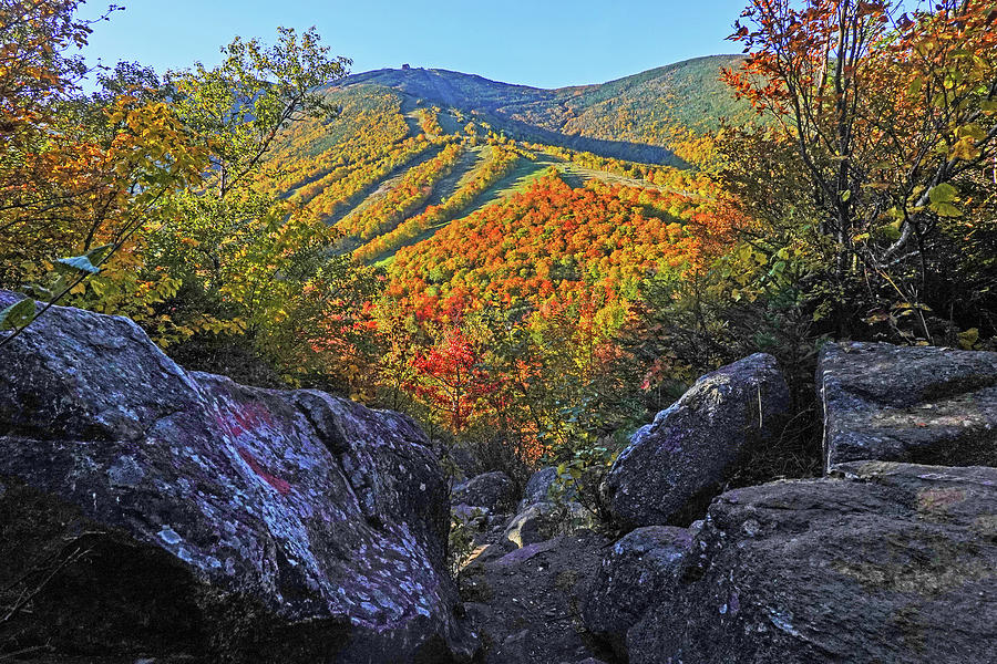 Beautiful Fall Foliage Artists Bluff Trail Franconia New Hampshire Photograph by Toby McGuire