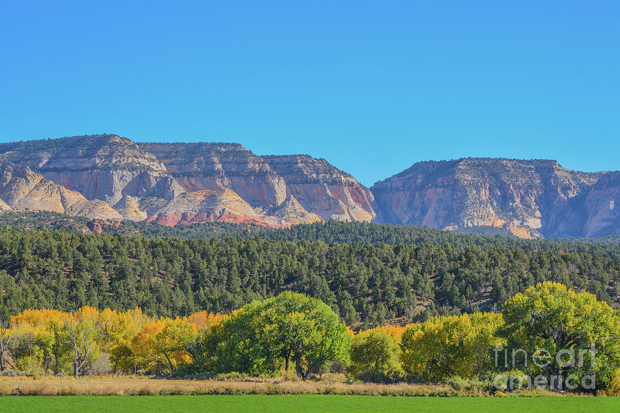 Beautiful Fall View Of The Colorful Leaves, Forest And Mountains In Utah Photograph