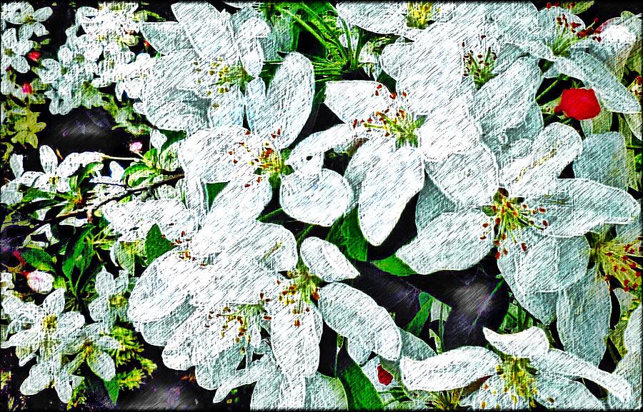 Beautiful Flower Art  Digital Art by Jeremy Lyman