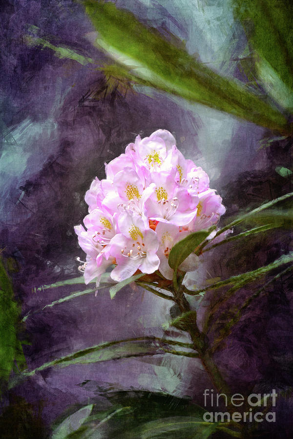 Beautiful Flower Digital Art by Phil Perkins