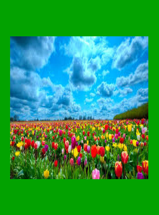 Beautiful flowers and clouds Digital Art by Dolores Boyd
