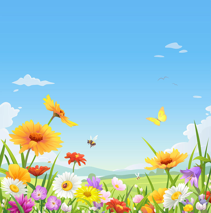 Beautiful Flowers Under A Blue Sky Drawing by Kbeis