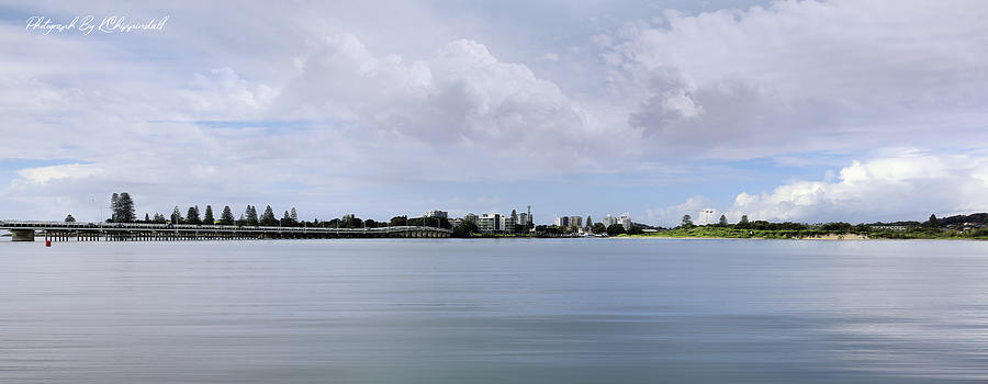 Beautiful Forster 300 Digital Art by Kevin Chippindall Beautiful Forster 300 Digital Art by Kevin Chippindall