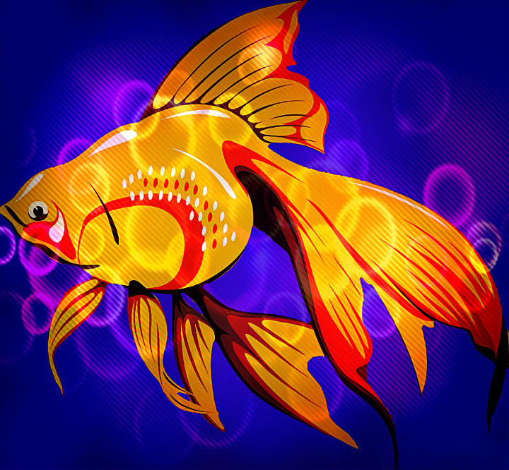 Beautiful Goldfish Digital Art