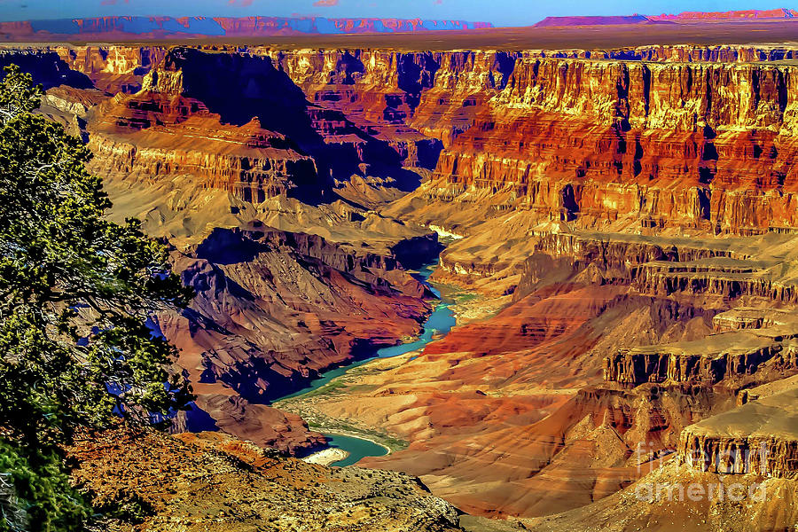 Beautiful Grand Canyon Photograph by Robert Bales
