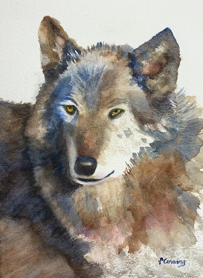 Beautiful Gray Wolf Painting by Sue Carmony