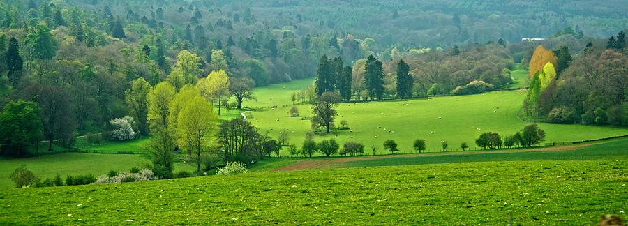 Beautiful Green Valley Landscape Photograph by Douglas Barnett