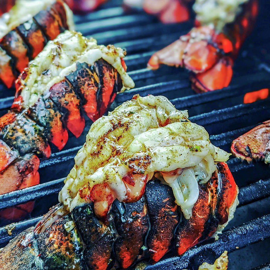 Beautiful Grilled Tasty Lobster Tails Ready To Eat Photograph by Alex Grichenko