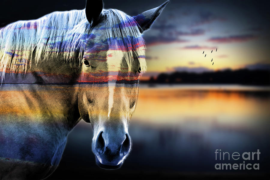 Animal Photograph - beautiful Horse Lovers by Mark Ashkenazi