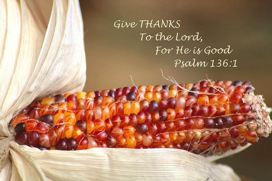 Indian Corn Photograph - Beautiful Indian Corn With Scripture by Living Color Photography Lorraine Lynch