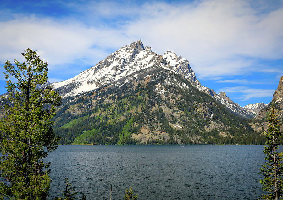 Beautiful Jenny Lake Wyoming Photograph by Dan Sproul