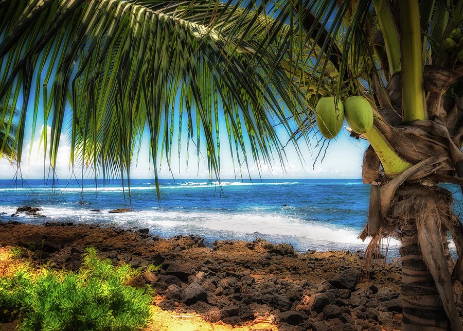 Beautiful Kauai Photograph by Jade Moon