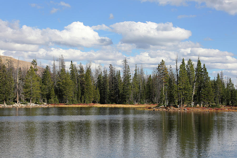 Beautiful Lake in Ashley National Forest Photograph by Michael Peak ...