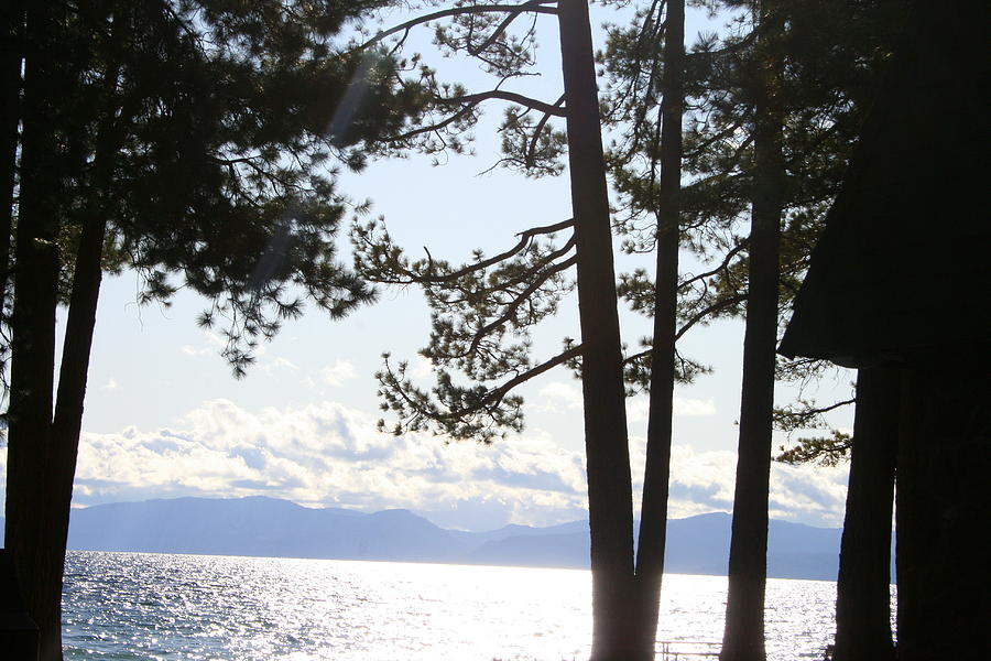 Beautiful Lake Tahoe Through The Pines Photograph by Kay Novy