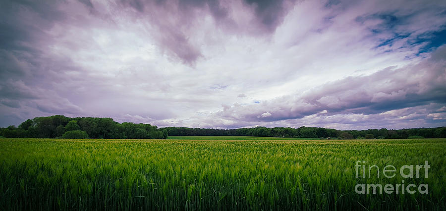Beautiful landscape with green barley field and cloudy sky in the surroundings of Bonn Photograph by Mendelex Photography