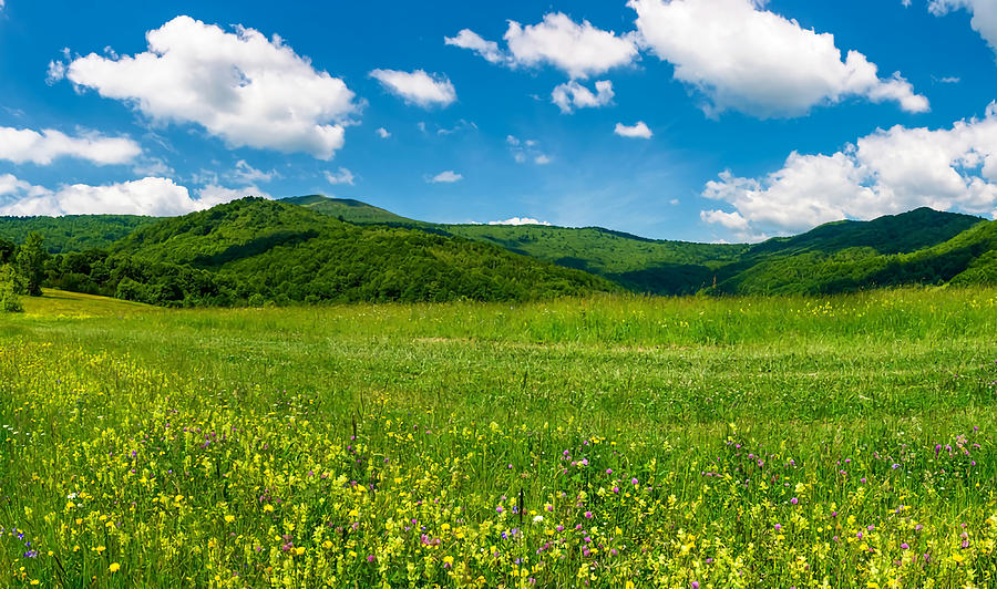 Beautiful Landscape With Meadow In Mountains Painting by Gary Thompson ...