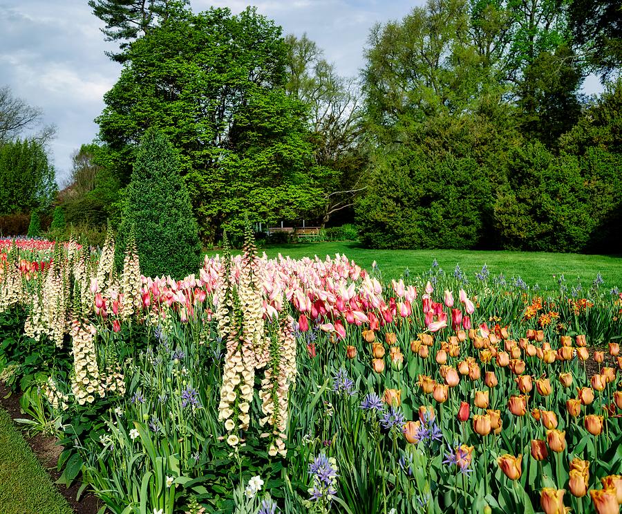Flower Photograph - Beautiful Longwood Gardens by Mountain Dreams