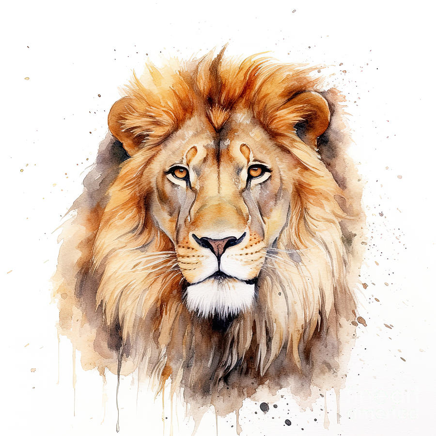 Beautiful male lion with full mane, isolated on white background. Digital watercolour illustration. Photograph by Jane Rix