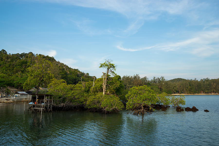 Beautiful mangrove area in Sibu island of Johor, Malaysia Photograph by Shaifulzamri