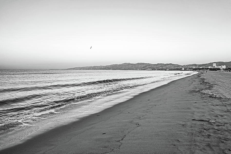 Beautiful Morning Light on Venice Beach Santa Monica and Malibu California Black and White Photograph by Toby McGuire