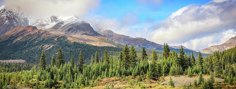 Banff National Park Photograph - Beautiful Mountain Forest Panorama by Dan Sproul