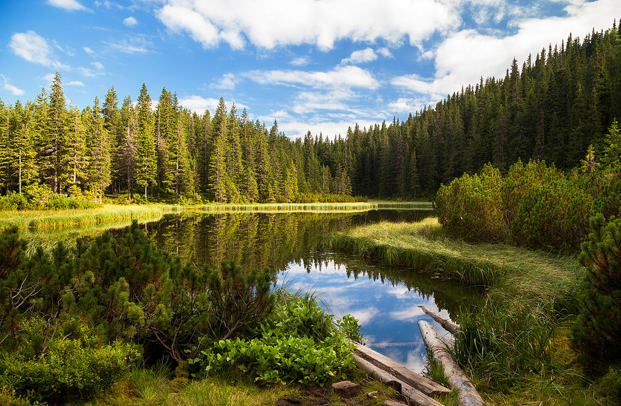 Beautiful mountain lake Maricheika in the Ukrainian Carpathians Mixed ...