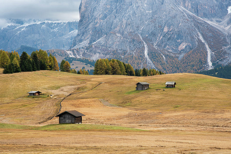 Mountain Landsape, Alpe di suisi Photograph by Michalakis Ppalis