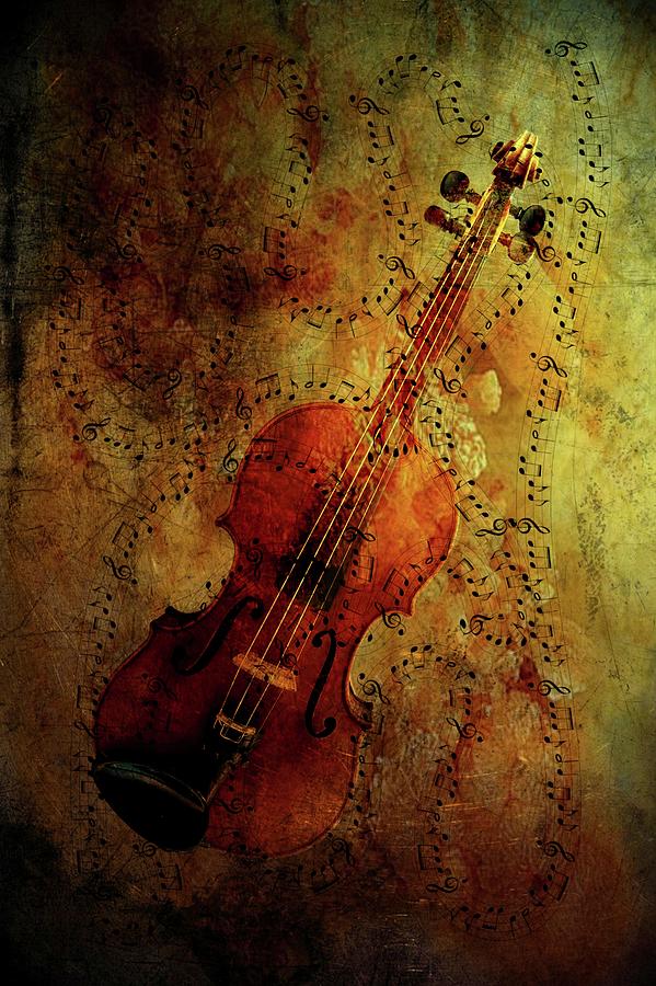 Beautiful Music Photograph by James DeFazio - Fine Art America