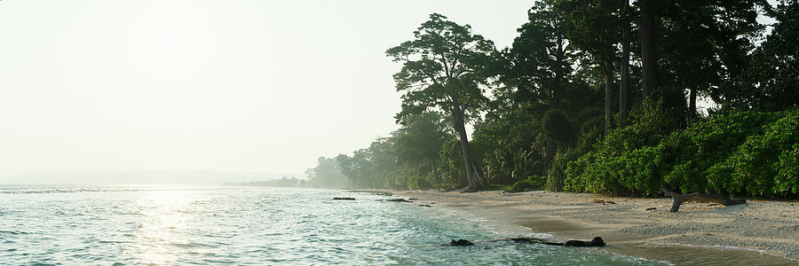 Beautiful Neil Island beach Andoman Islands Photograph by Sonny Ryse