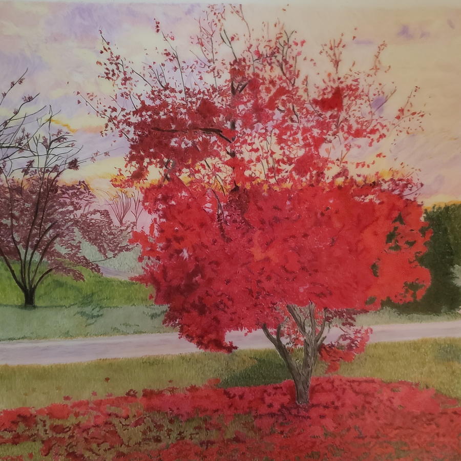Beautiful November Sunset Drawing by Kathy Crockett