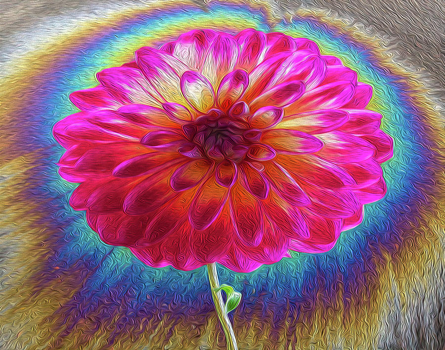 Beautiful Oil Slick Photograph by Jean Noren