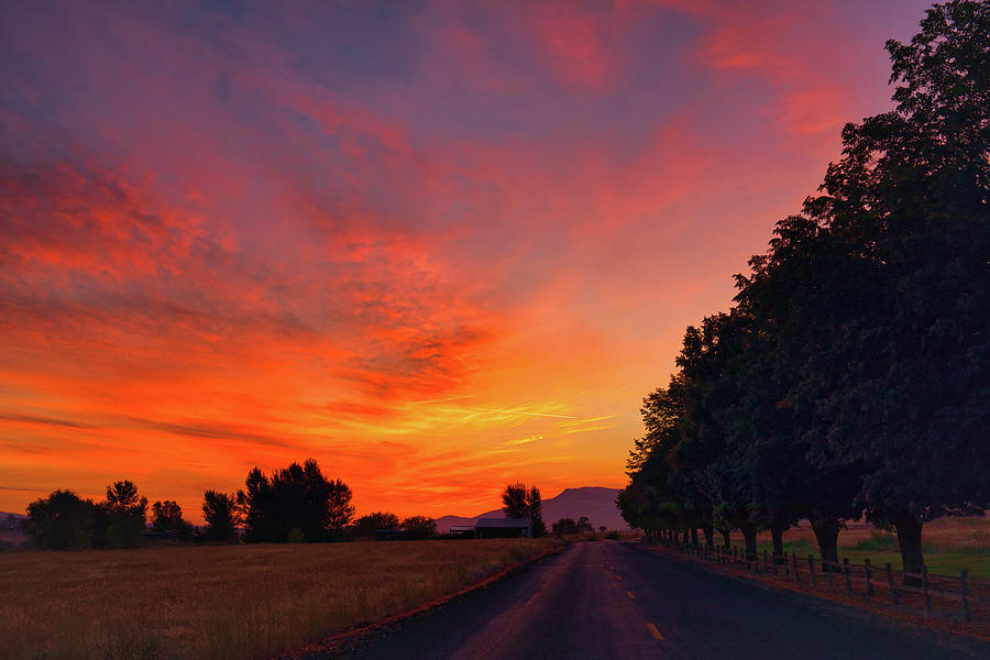 Beautiful Orange Sunrise Photograph by Lynn Hopwood