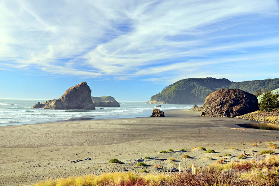 Beautiful Oregon Coast Photograph by George E Richards