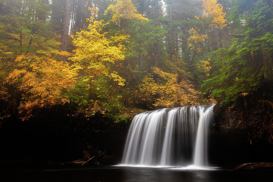 Beautiful Oregon Photograph