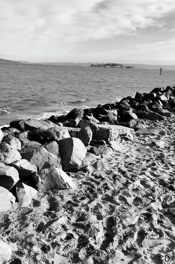 Beautiful Pacific View Photograph By Cd Mccray Fine Art America