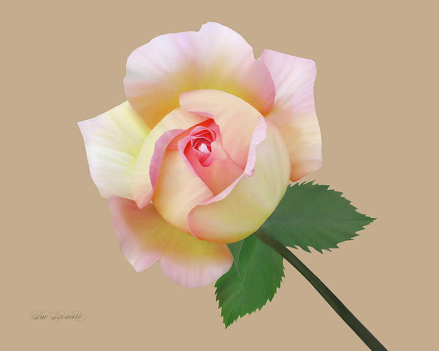 Beautiful Painted Rose Photograph by Sue Leonard