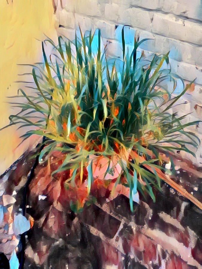 Beautiful Painting of Plant Digital Art by Naveen Sharma | Fine Art America