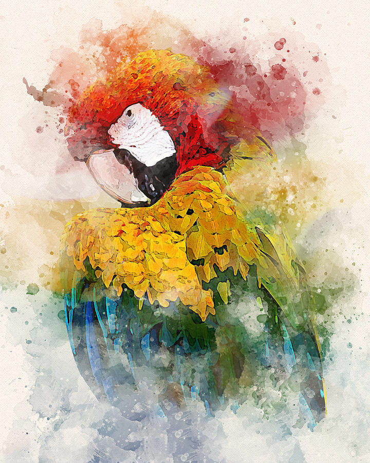 Beautiful Parrot 01 Painting by Miki De Goodaboom