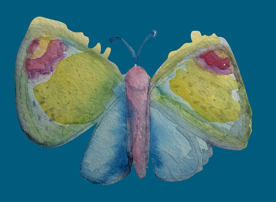 Beautiful Pastel Butterfly Painting by Sandy Rakowitz