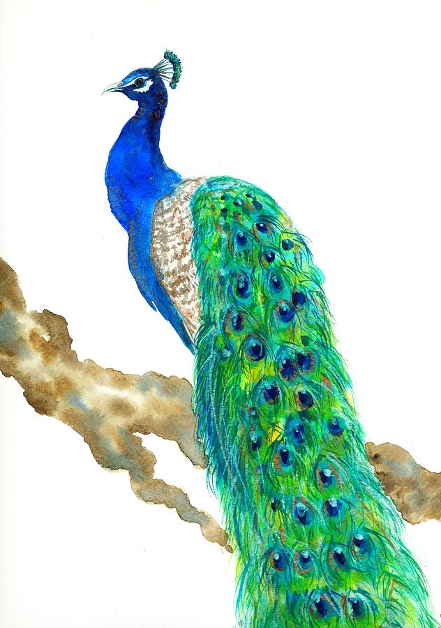Beautiful peacock Painting by Nataliya Vetter