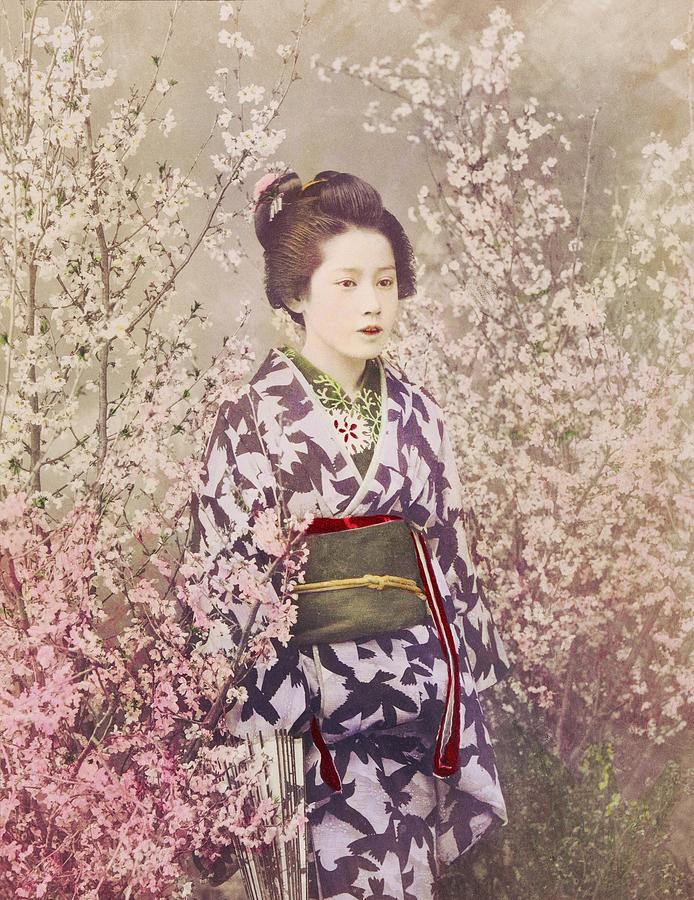 Beautiful Photomechanical Prints Of A Geisha And Cherry Blossom By Ogawa Kazumasa