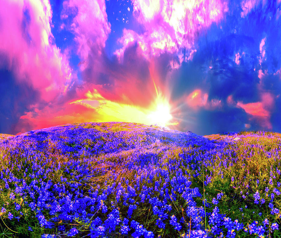 Beautiful Pink Blue Lavender Meadow Sunset Photograph by Eszra Tanner