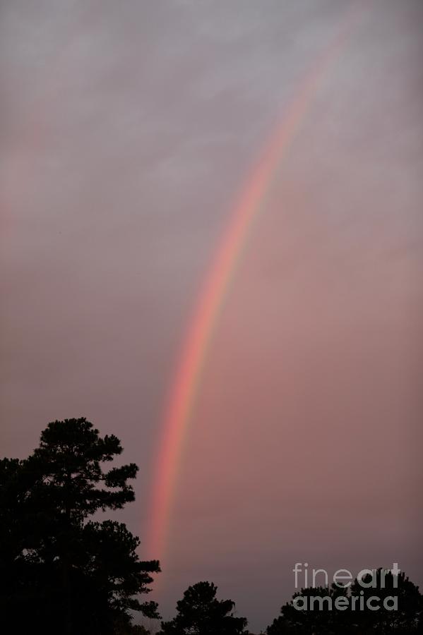 Beautiful Rainbow Photograph by Lara Morrison