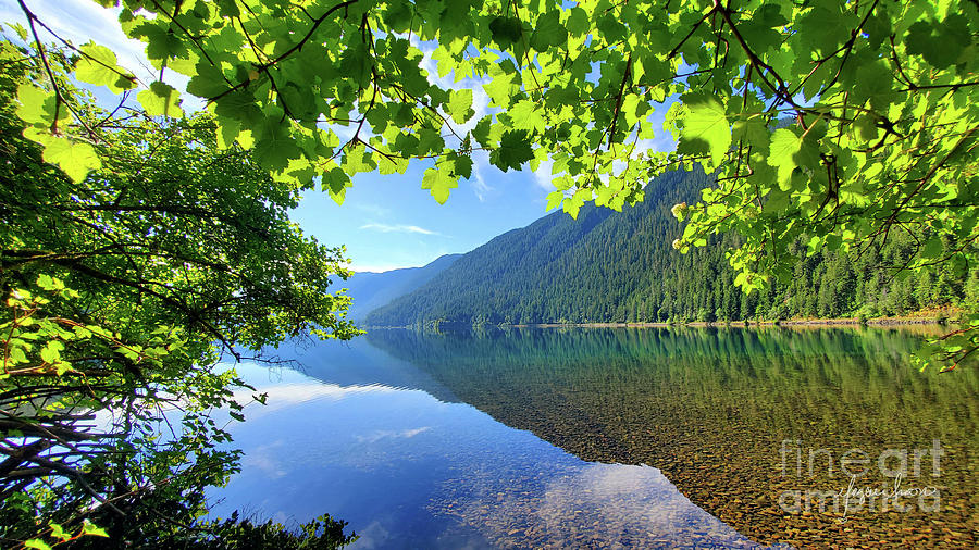 Beautiful Refection On Crescent Lake At Olympic National Park By Traveling Artist Blogger Meganaroon Painting